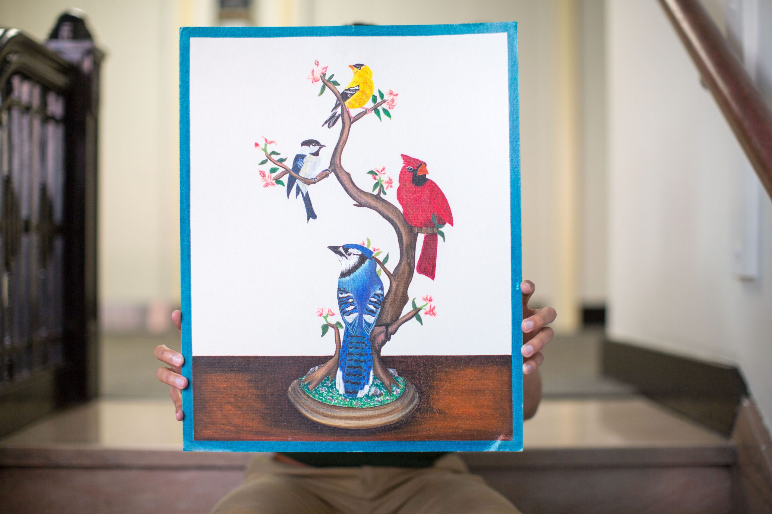 Drawing of four birds, a yellow finch, a blue bird, a cardinal, and a bluejay, on a branch on a table